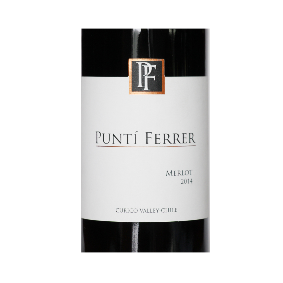 菲乐庄园 经典梅洛干红葡萄酒