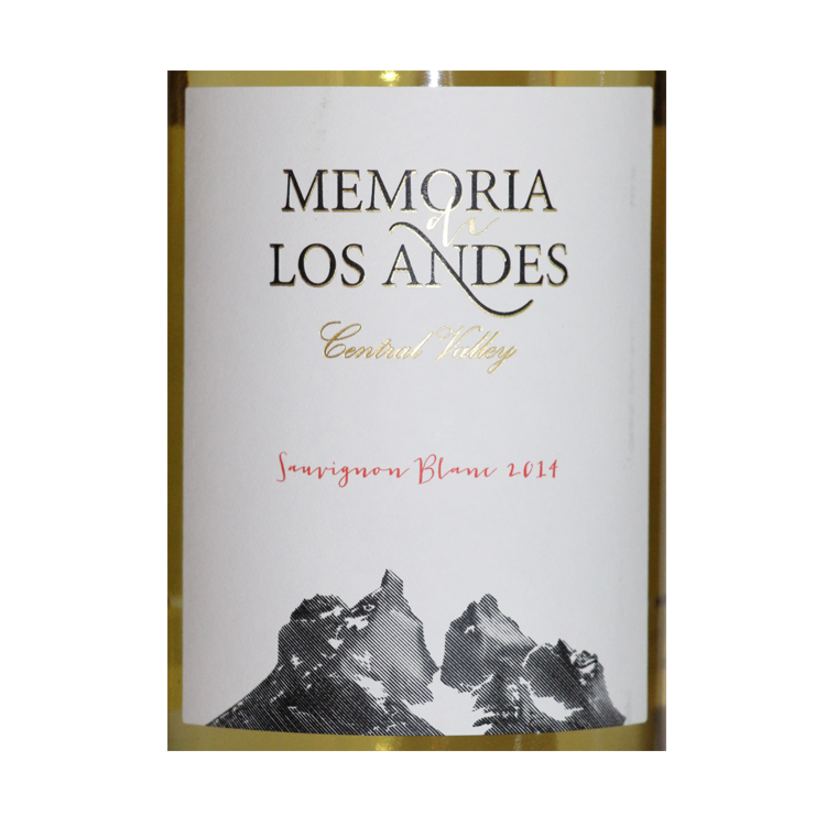 安第斯之梦长相思干白葡萄酒